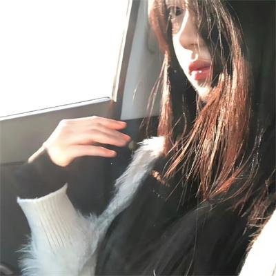 偷鸡摸狗