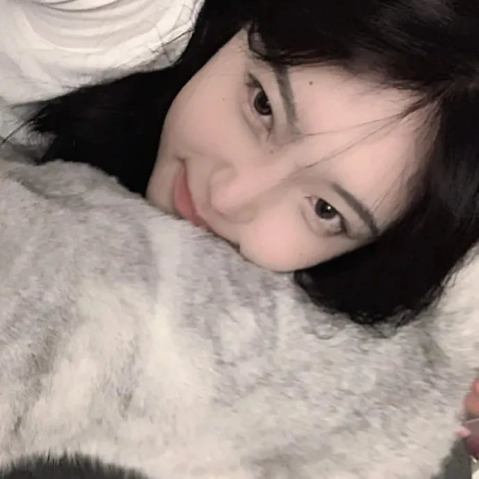 黑蜥蜴2019